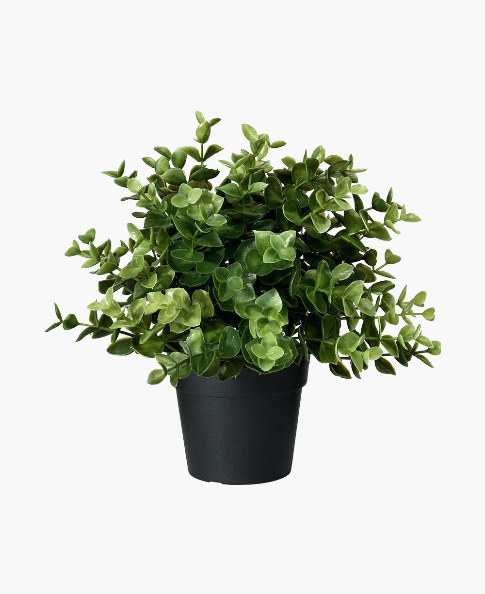 evi plant pot Evi Plant Pot – Plantan